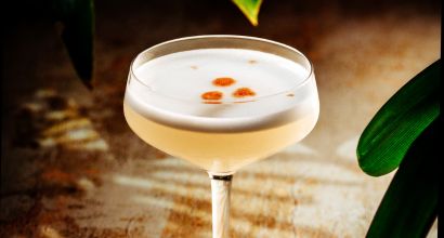 Ein stilvolles Cocktailglas mit einem schaumigen Getränk und Zitrusdekoration, umgeben von grünen Blättern auf einem Tisch.