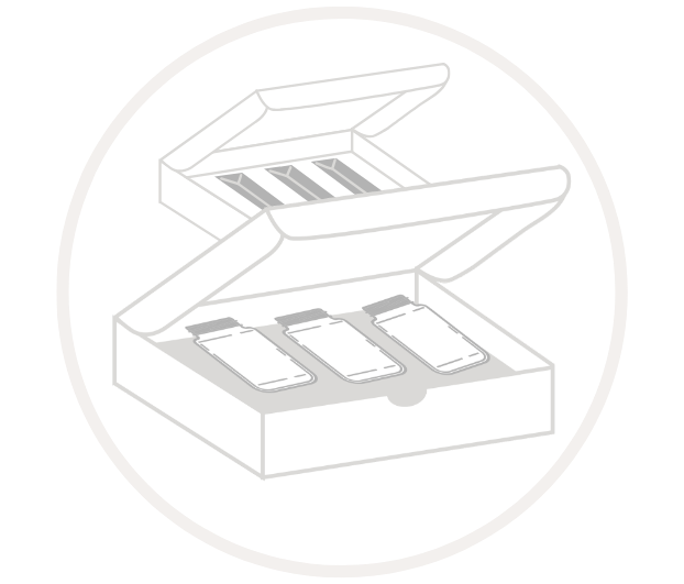 Geöffnete Verpackungsbox mit drei Flaschen im Inneren, von oben betrachtet.