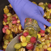 Nahaufnahme einer Hand im Handschuh, die bunte Bonbons in ein Glas füllt